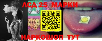 шишки Кандалакша