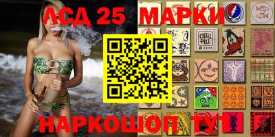 apvp Камышлов