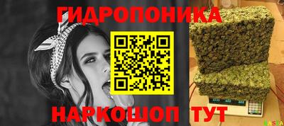 apvp Камышлов