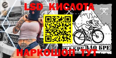 шишки Кандалакша