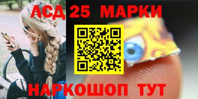 шишки Кандалакша