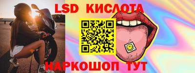 шишки Кандалакша